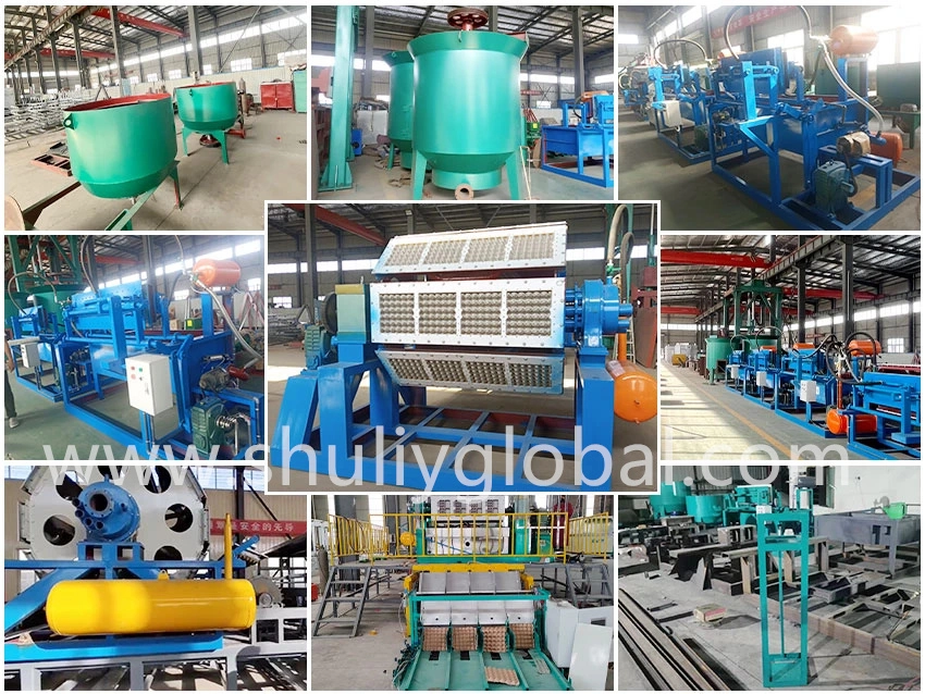 Egg Tray Making Machine Factory