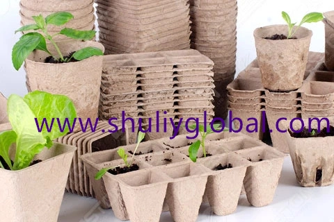 Seedling Trays