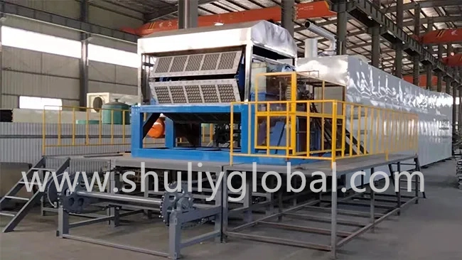 5000p/h Egg Tray Machine