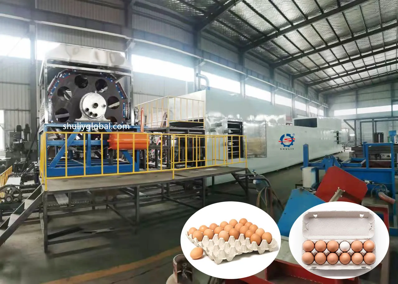 egg tray making machine for sale