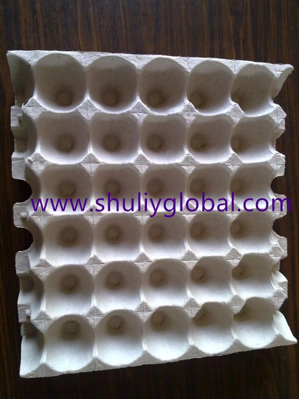 Paper Egg Tray