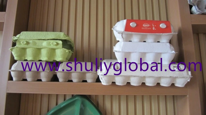 Paper Egg Carton