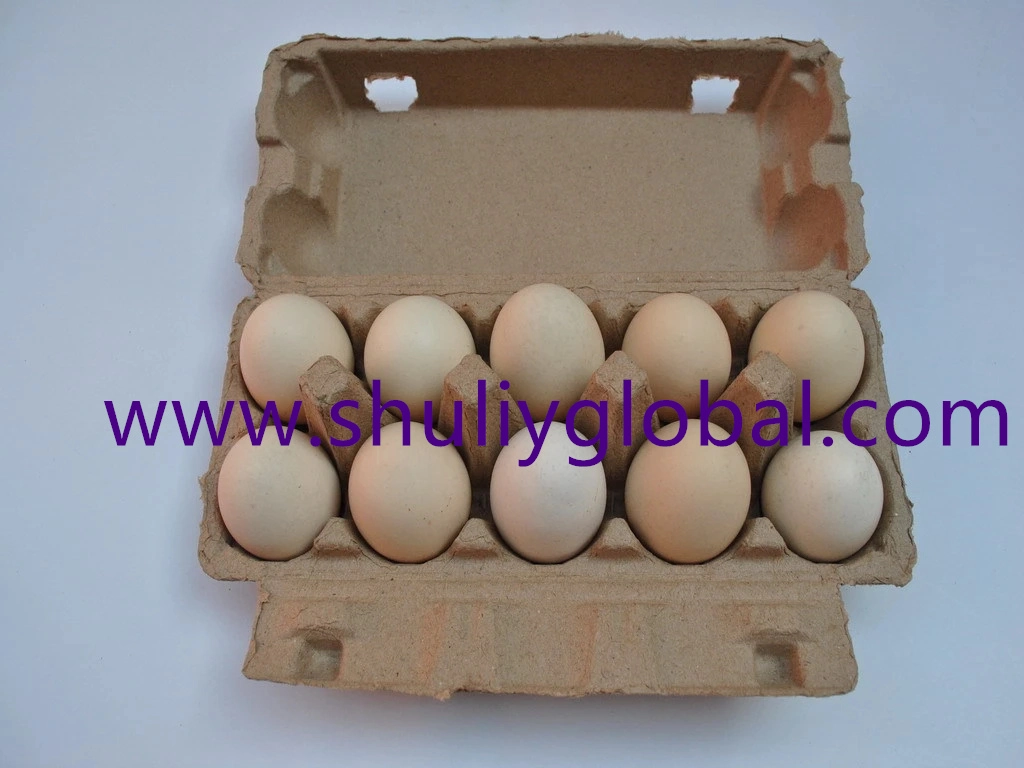 Paper Egg Carton