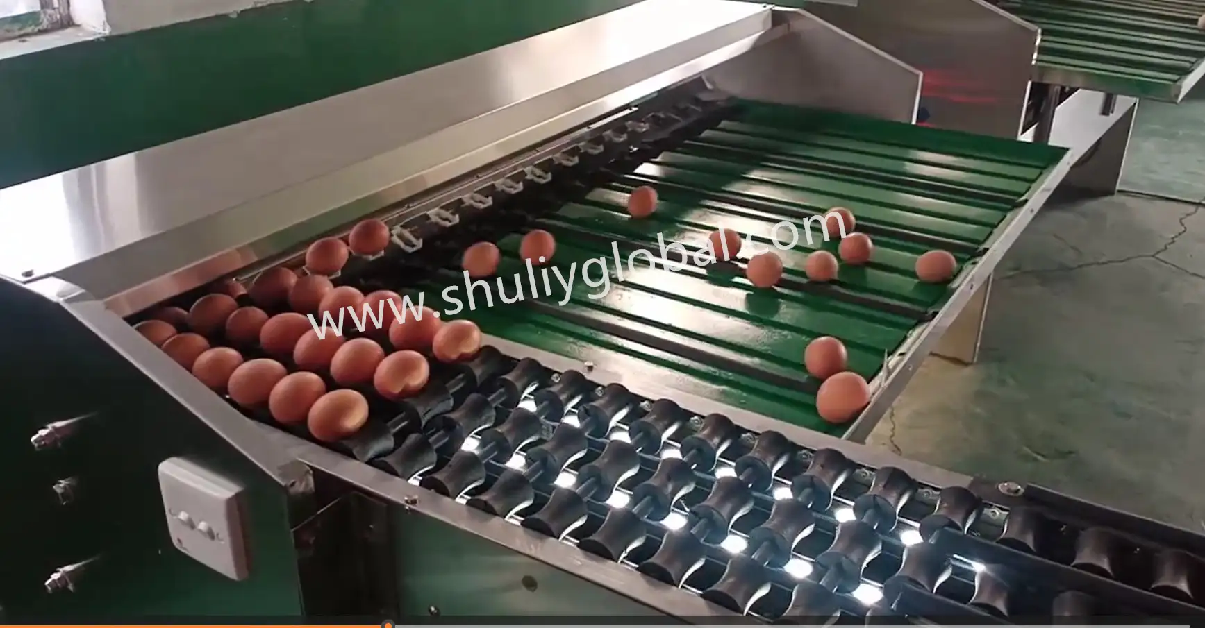 Egg Grading Machine