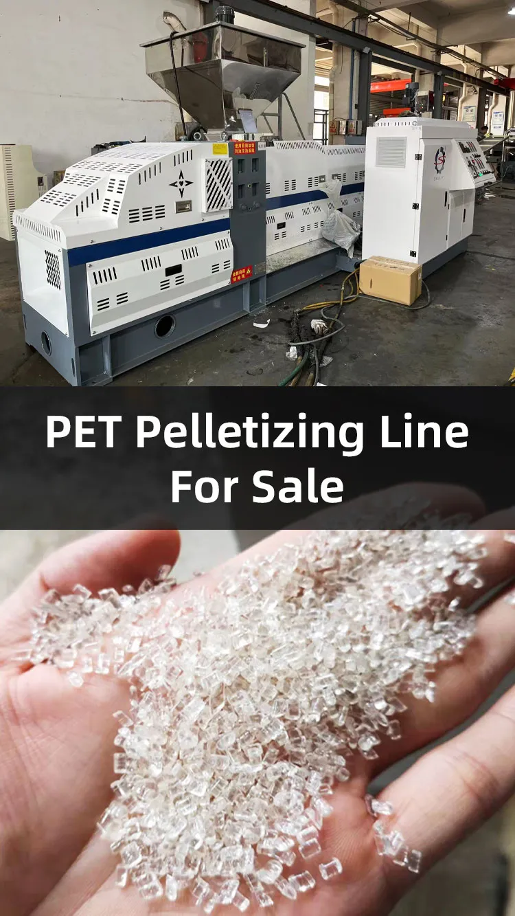 PET  Flake Pelletizing Machine